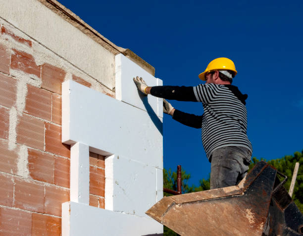 Best Insulation Replacement Services  in New Lenox, IL