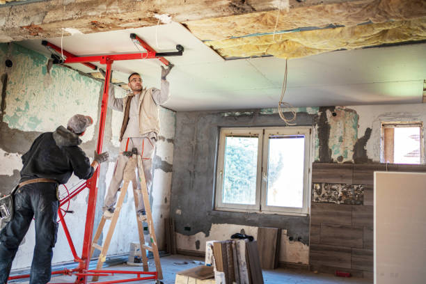 Best Insulation Contractor Near Me  in New Lenox, IL