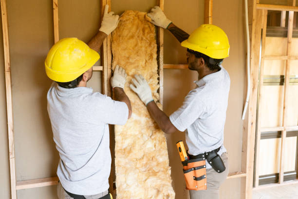 Best Cellulose Insulation  in New Lenox, IL